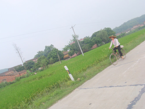 Field hand on a bicycle.